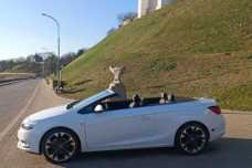 Buick Cascada , 2019, пробег 92500 км