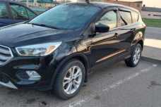 Ford Escape III  Рестайлинг, 2019, пробег 80000 км
