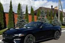 Ford Mustang VI  Рестайлинг, 2019, пробег 78000 км