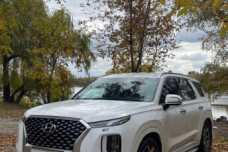 Hyundai Palisade I, 2020, пробег 93000 км