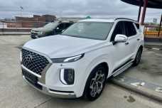 Hyundai Palisade I, 2021, пробег 28000 км