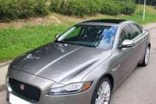 Jaguar XF X260, 2019, пробег 30000 км