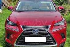 Lexus NX I Рестайлинг