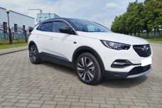 Opel Grandland X I, 2018, пробег 219000 км