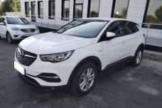 Opel Grandland X I, 2019, пробег 100500 км