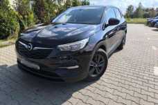 Opel Grandland X I, 2019, пробег 165000 км