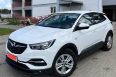Opel Grandland X I, 2019, пробег 173000 км