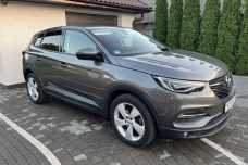 Opel Grandland X I, 2019, пробег 185150 км