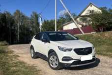 Opel Grandland X I, 2019, пробег 202000 км