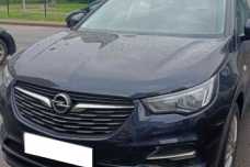 Opel Grandland X I, 2019, пробег 218000 км