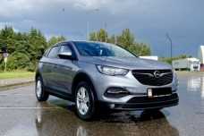 Opel Grandland X I, 2019, пробег 222000 км