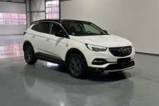 Opel Grandland X I, 2020, пробег 161000 км