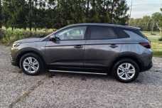 Opel Grandland X I, 2020, пробег 183000 км