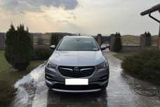Opel Grandland X I, 2020, пробег 77000 км