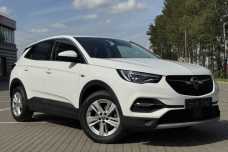 Opel Grandland X I, 2021, пробег 137152 км