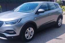 Opel Grandland X I, 2021, пробег 180000 км