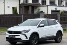 Opel Grandland X I  Рестайлинг, 2022, пробег 122400 км