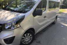 Opel Vivaro II, 2015, пробег 272398 км