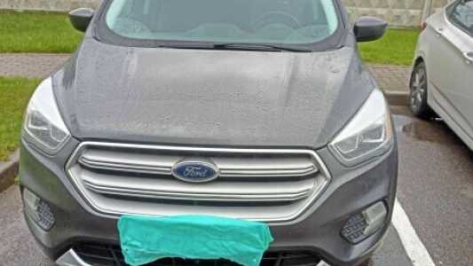 Ford Escape III  Рестайлинг, 2019, пробег 100000 км