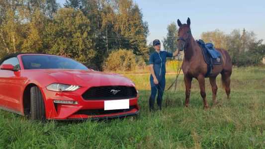 Ford Mustang VI Рестайлинг