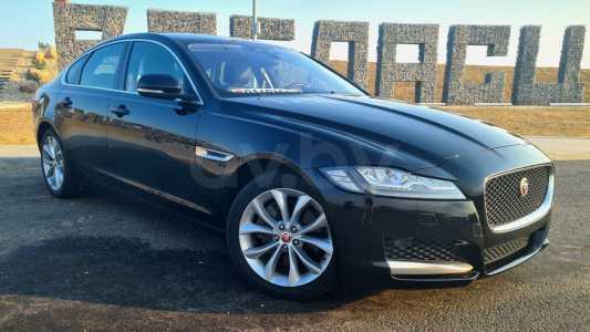 Jaguar XF X260