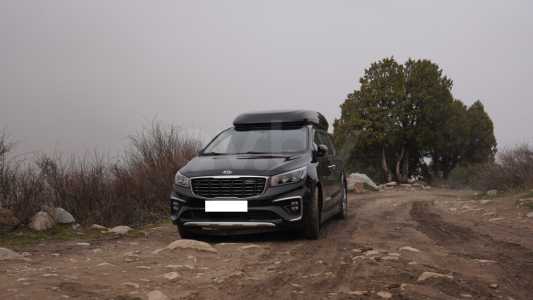 Kia Carnival III