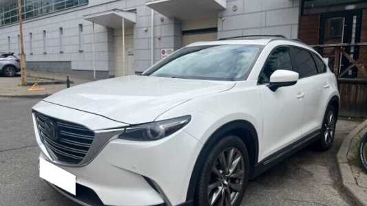 Mazda CX-9 II, 2019, пробег 200000 км