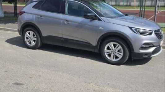 Opel Grandland X I, 2019, пробег 161000 км