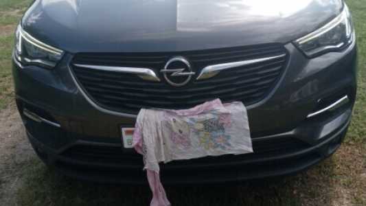 Opel Grandland X I, 2019, пробег 175000 км