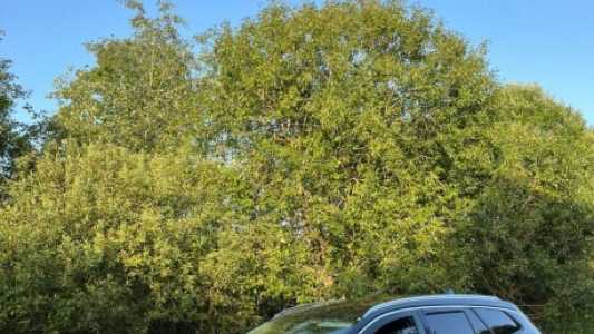 Opel Insignia II, 2017, пробег 250910 км