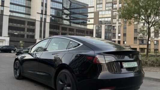 Tesla Model 3 I, 2019, пробег 77000 км
