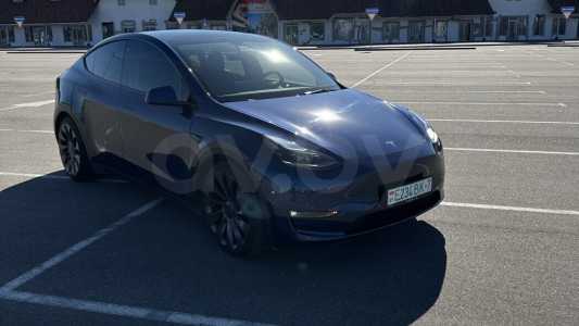 Tesla Model Y I