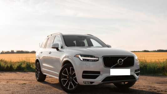 Volvo XC90 II, 2019, пробег 53000 км
