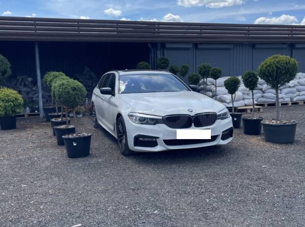 BMW 5 серия G30, G31