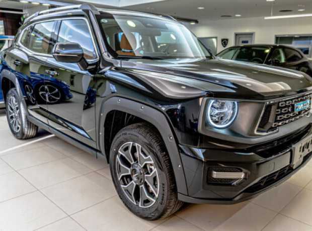 Haval DaGou II, 2023, пробег 100 км