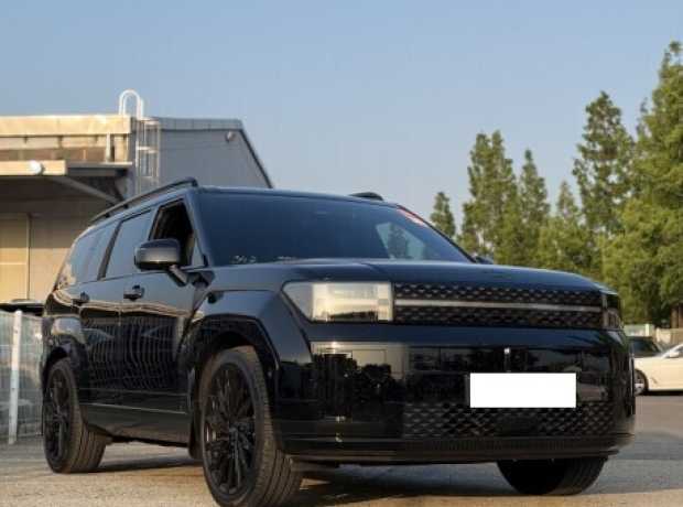 Hyundai Santa Fe MX5, 2024, пробег 14708 км
