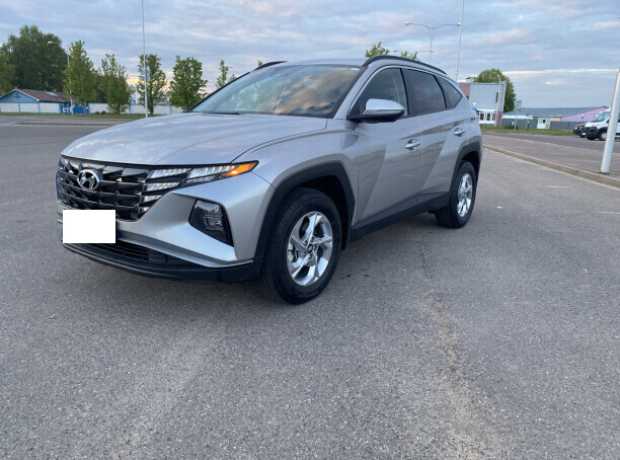 Hyundai Tucson IV, 2022, пробег 20000 км