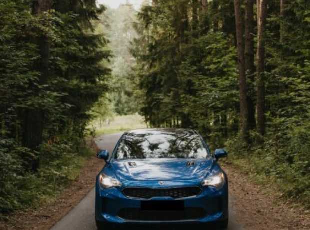 Kia Stinger I, 2018, пробег 96000 км Kia Stinger I, 2018, пробег 96000 км