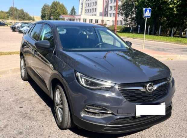 Opel Grandland X I, 2018, пробег 219000 км