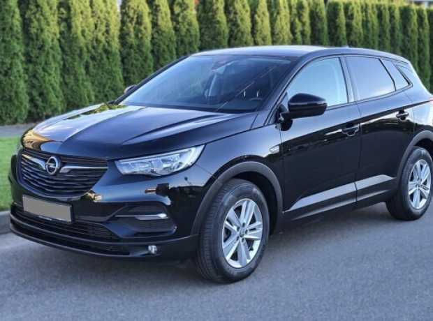 Opel Grandland X I, 2019, пробег 136000 км