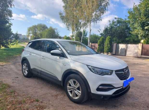 Opel Grandland X I, 2019, пробег 178000 км