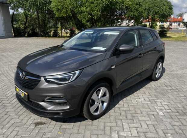 Opel Grandland X I, 2019, пробег 184447 км