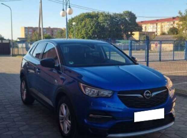 Opel Grandland X I, 2019, пробег 185336 км
