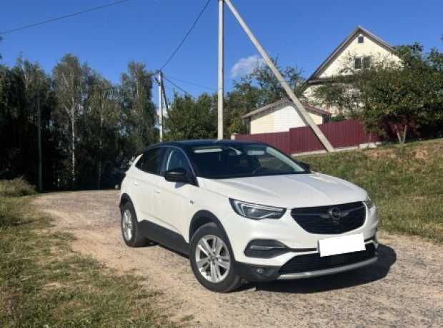 Opel Grandland X I, 2019, пробег 202000 км
