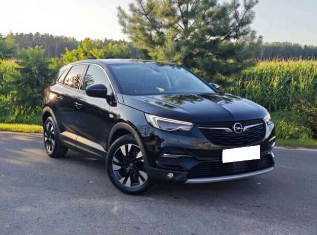 Opel Grandland X I, 2020, пробег 177500 км