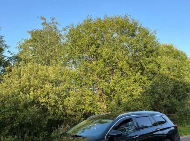 Opel Insignia II, 2017, пробег 250910 км