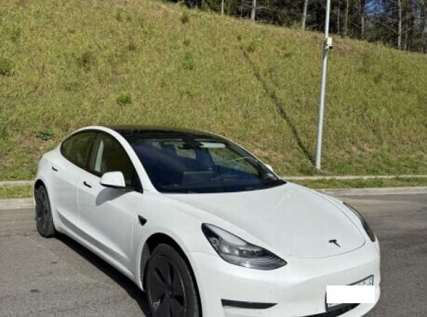 Tesla Model 3 I, 2019, пробег 65000 км