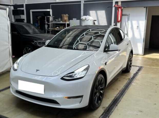 Tesla Model Y I, 2021, пробег 48000 км