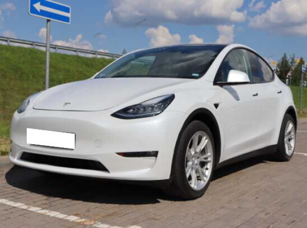 Tesla Model Y I, 2021, пробег 51900 км