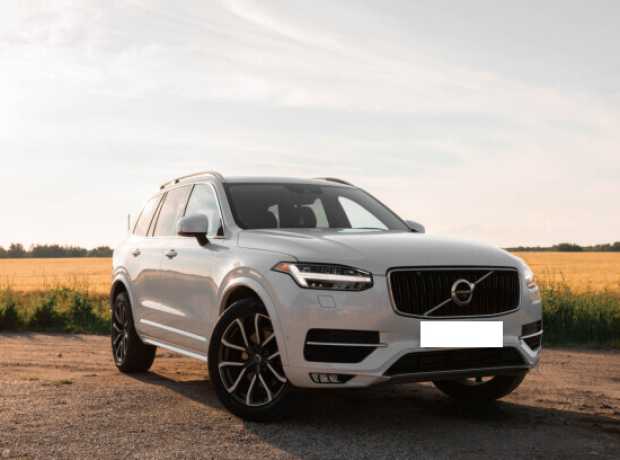 Volvo XC90 II, 2019, пробег 53000 км